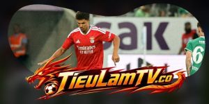 Soi Kèo Benfica Vs St. Gallen 02h00 31/07